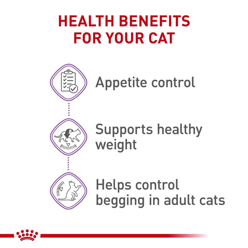 Royal Canin Feline Care Nutrition Appetite Control Care Adult Dry Cat Food, 6 lb Bag - Image 3